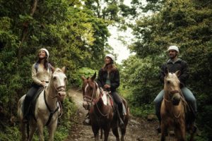 The Green Season: A perfect time to experience Monteverde