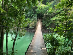 Discover the Magic of Green Season in Costa Rica: A Beginner’s Guide 1