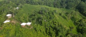 Drake’s Rewilding Project: revolt of the wild