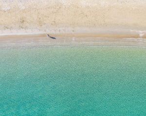 Join us for an Endless Summer