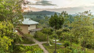 CR Drake Panoramic Forest Bungalow